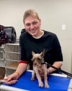 South-Paw-Staff-Grooming-Dog